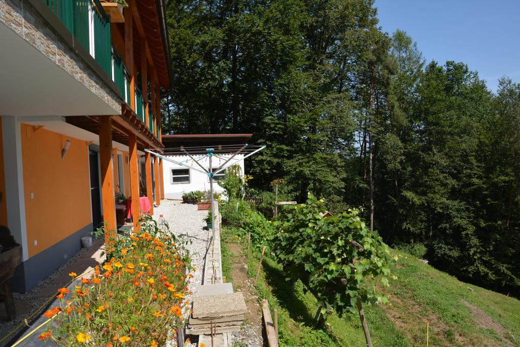 Gaestehaus Schmid Apartment Sankt Johann im Saggautal Exterior photo